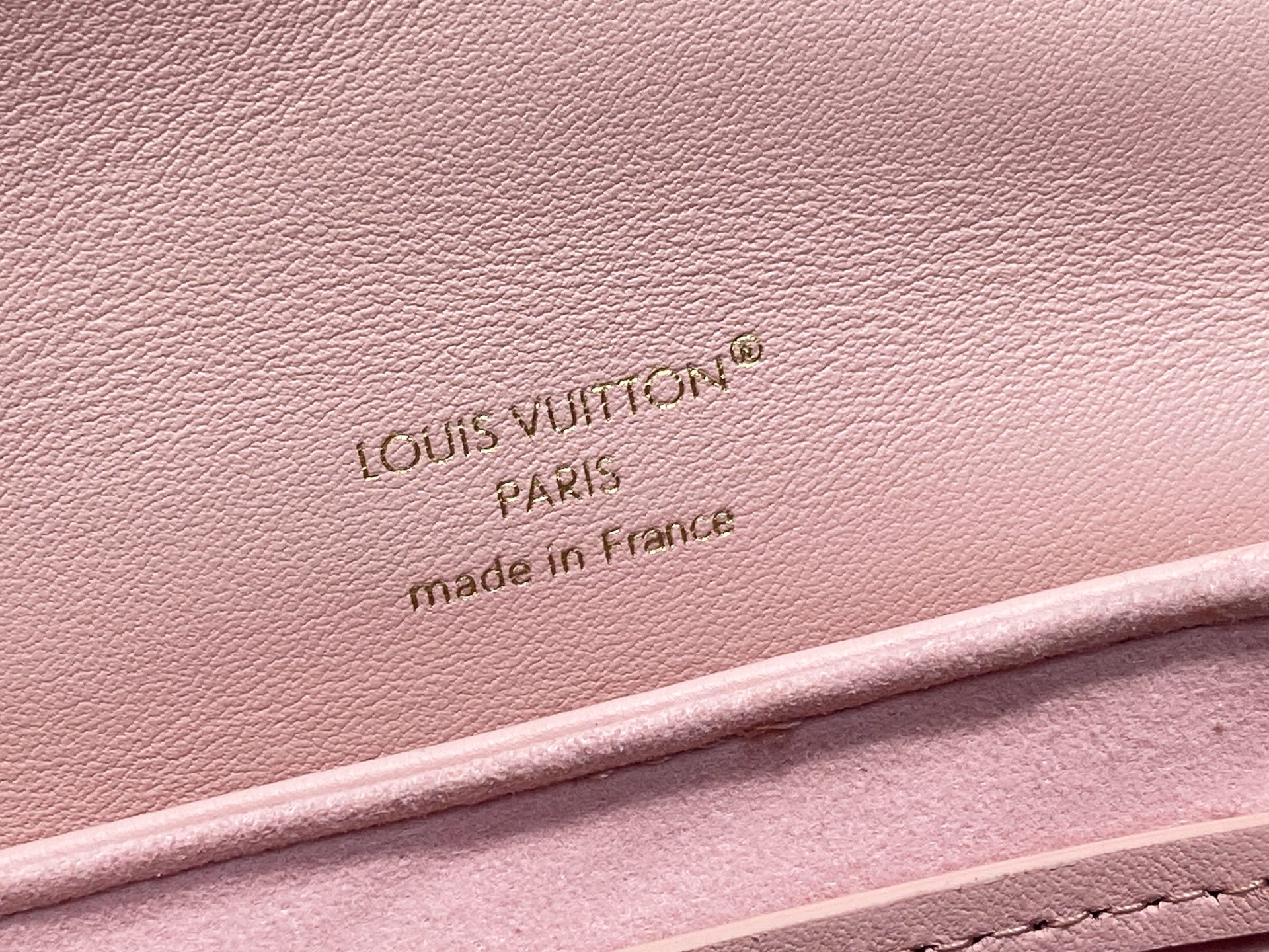 Louis Vuitton Coussin Backpack( 20 x 7.5 x 15CM)