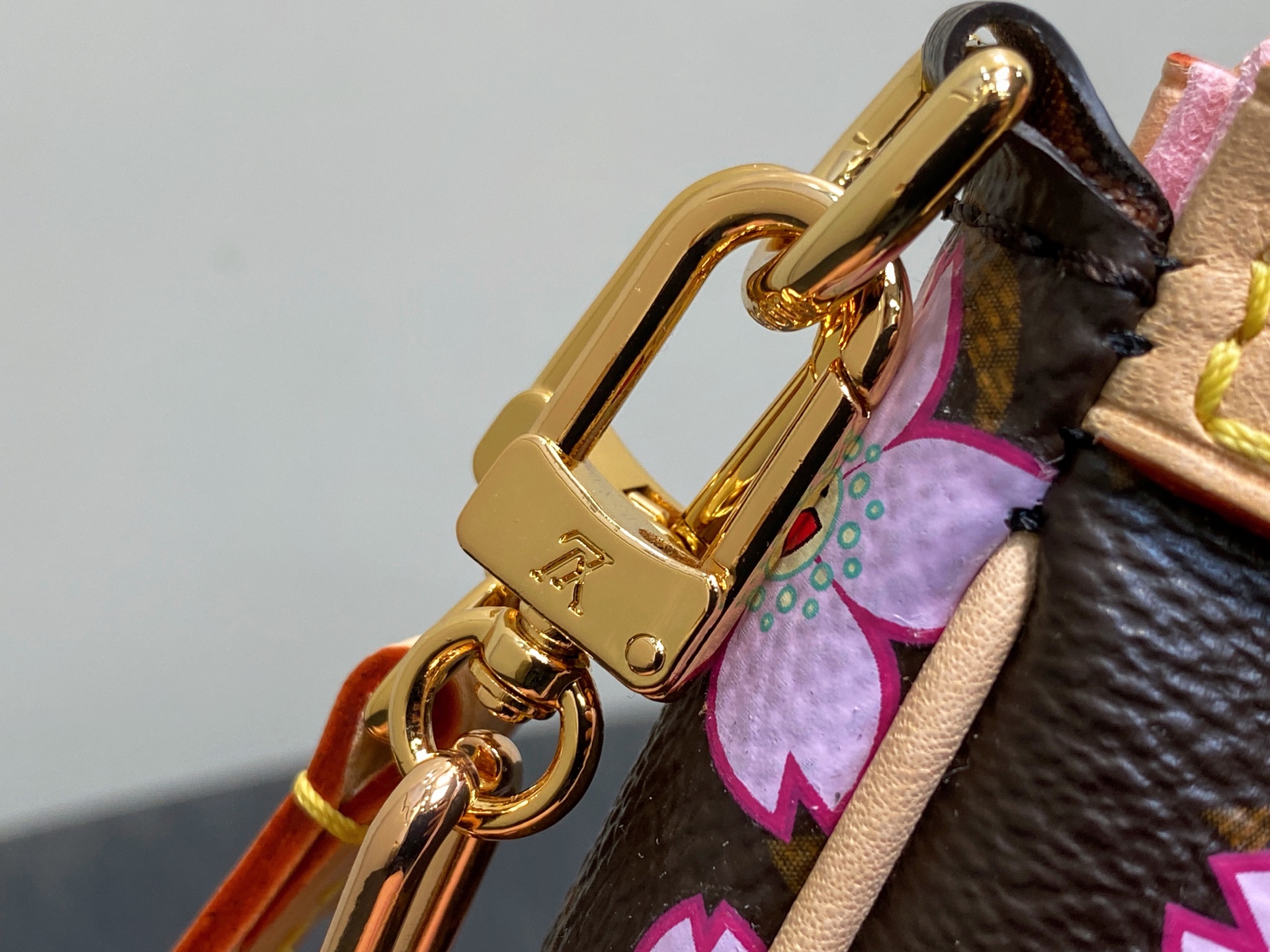 Louis Vuitton Pochette Accessoires Bag(22x13x4CM)