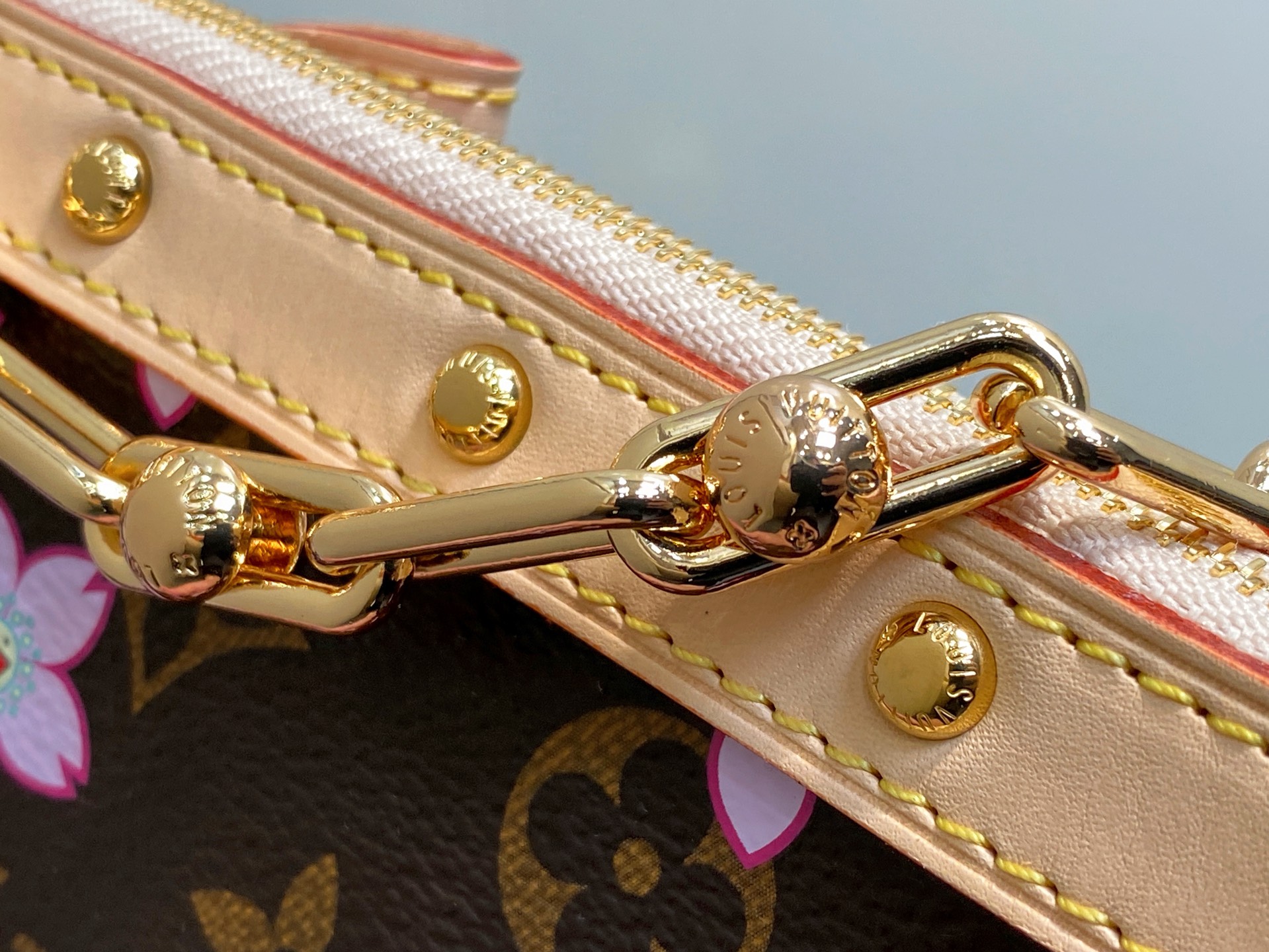 Louis Vuitton Pochette Accessoires Bag(22x13x4CM)