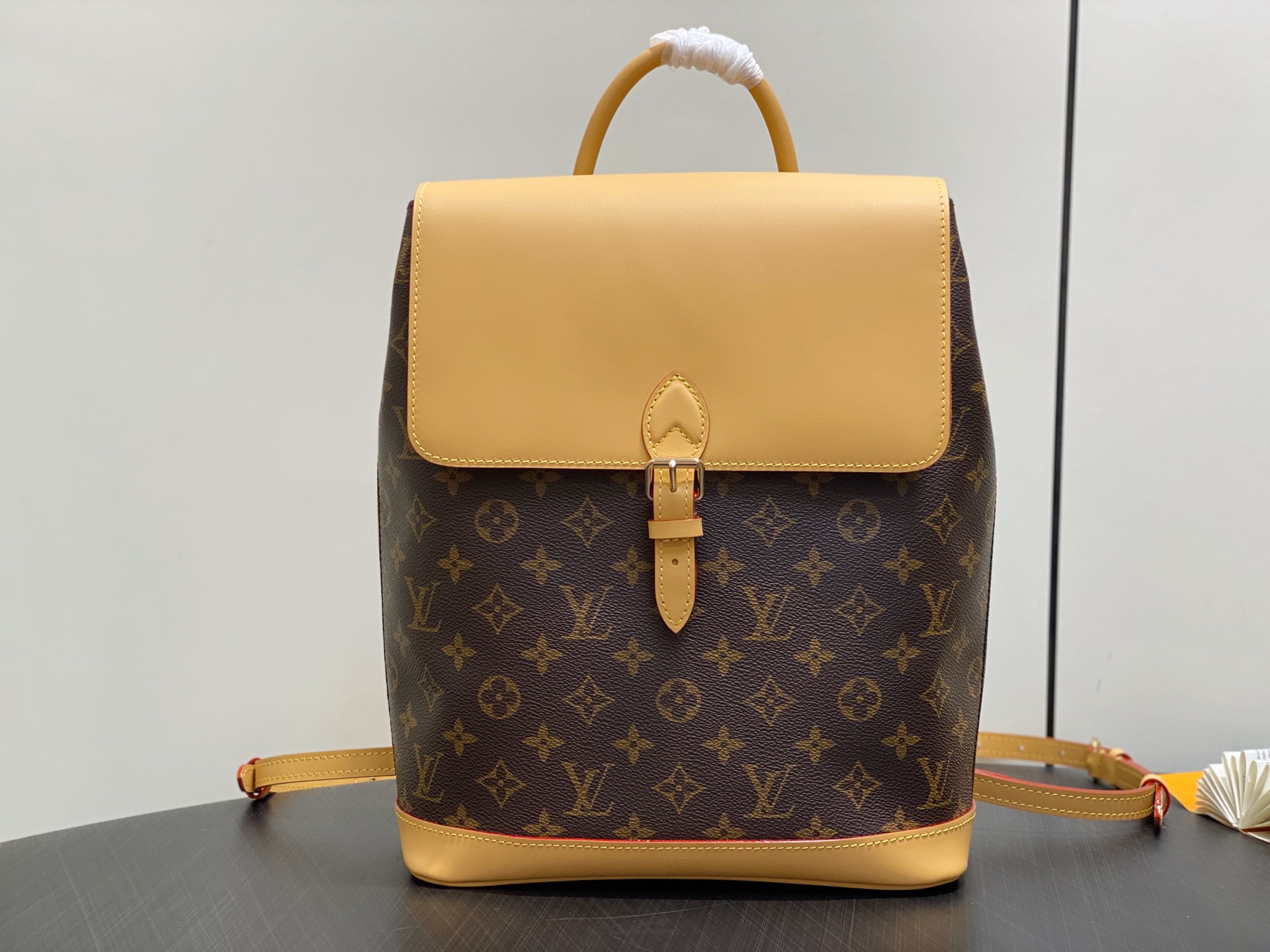Louis Vuitton Soho Backpack( 24 x 32 x 9CM)