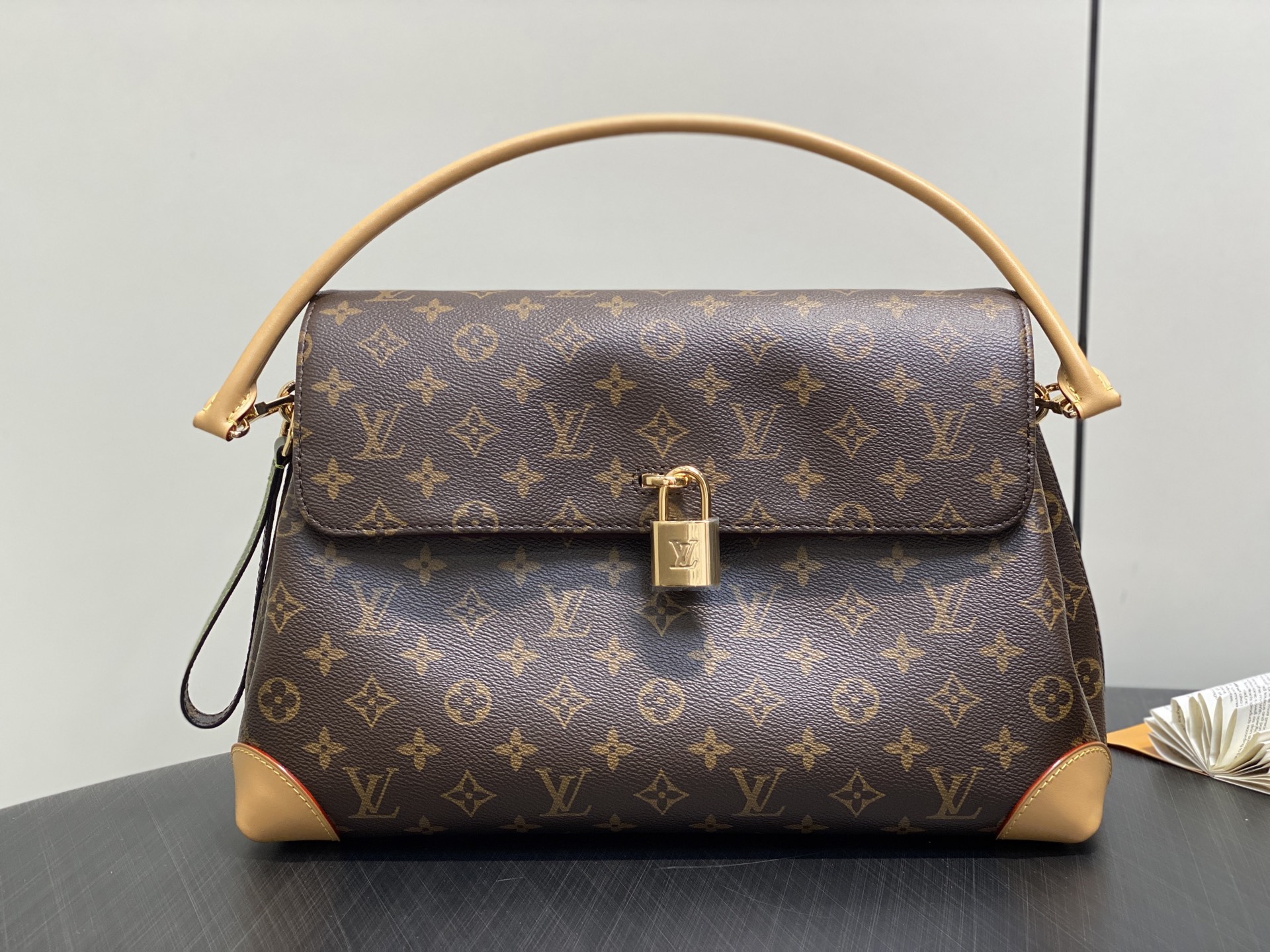 Louis Vuitton Hide Away Bag (36 x 26 x 18CM)