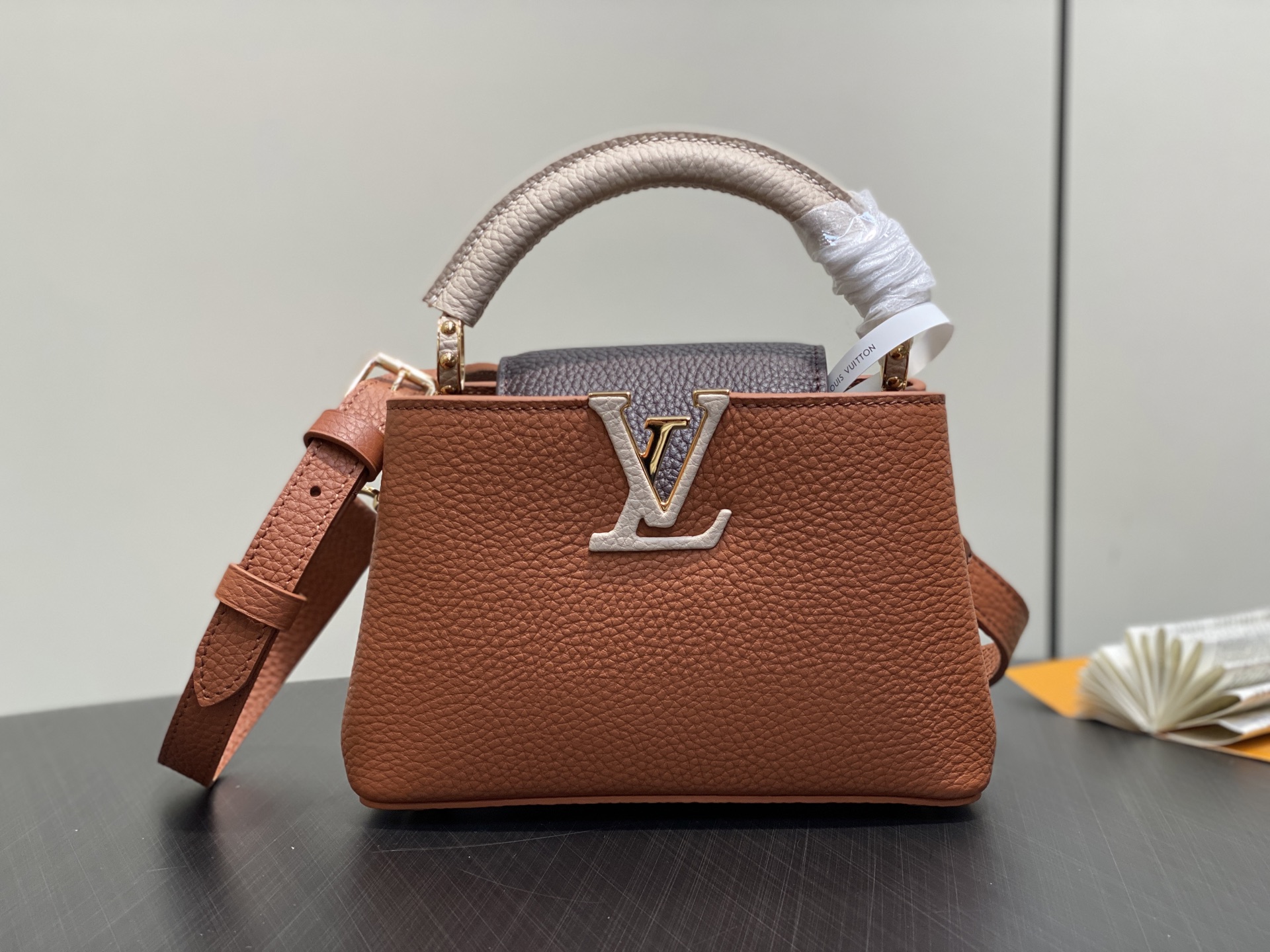 Louis Vuitton Capucines M12176(21×14×8CM)