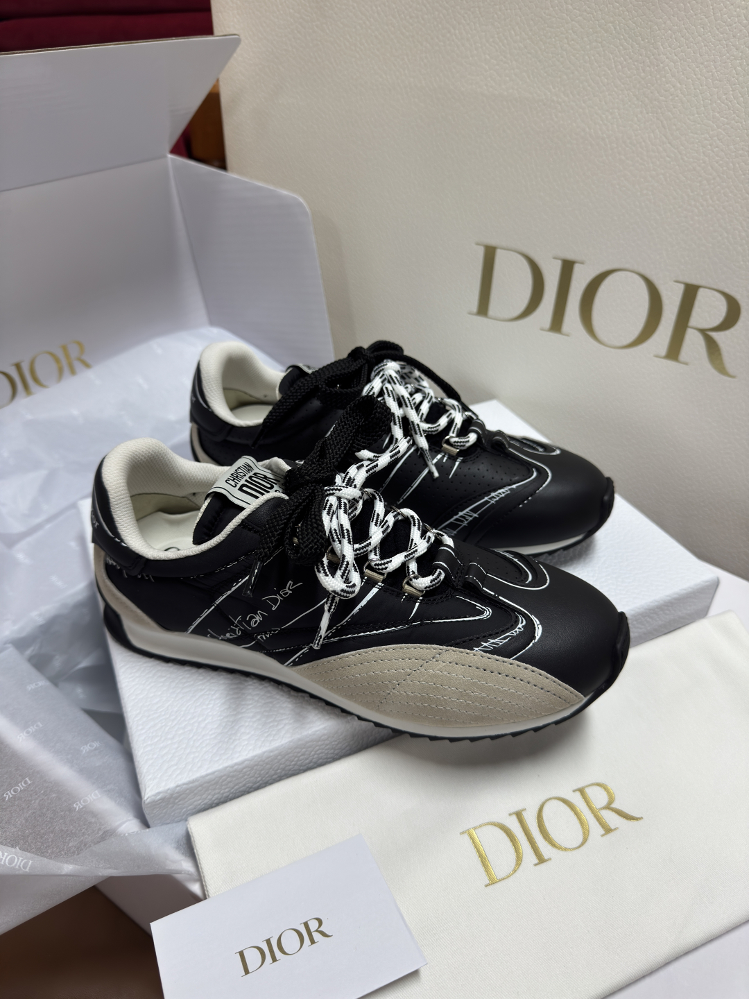 Dior 2025ss D-Sketch Sneaker(EU35-41)