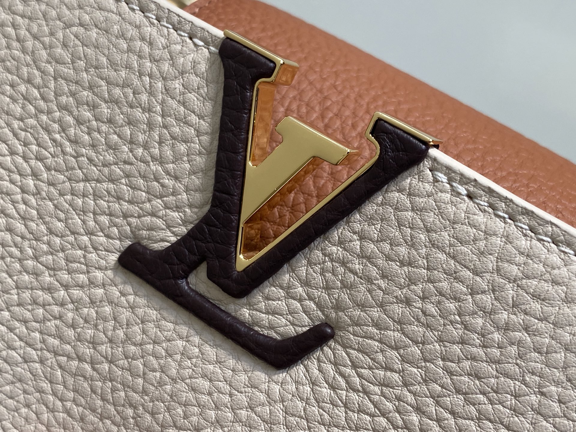 Louis Vuitton Capucines M12176(21×14×8CM)