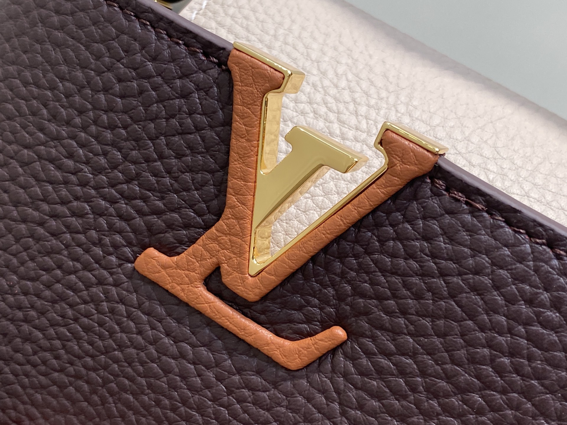 Louis Vuitton Capucines M12176(21×14×8CM)