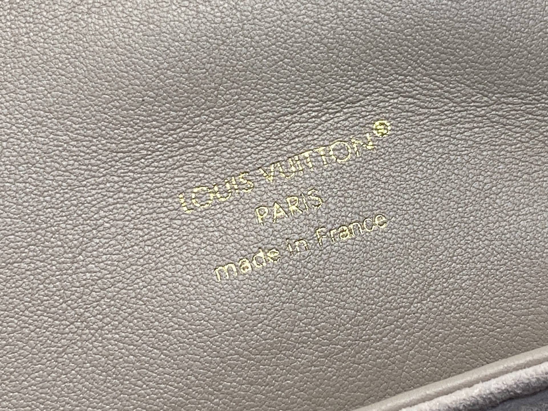 Louis Vuitton Coussin Backpack( 26 x 10 x 21CM)