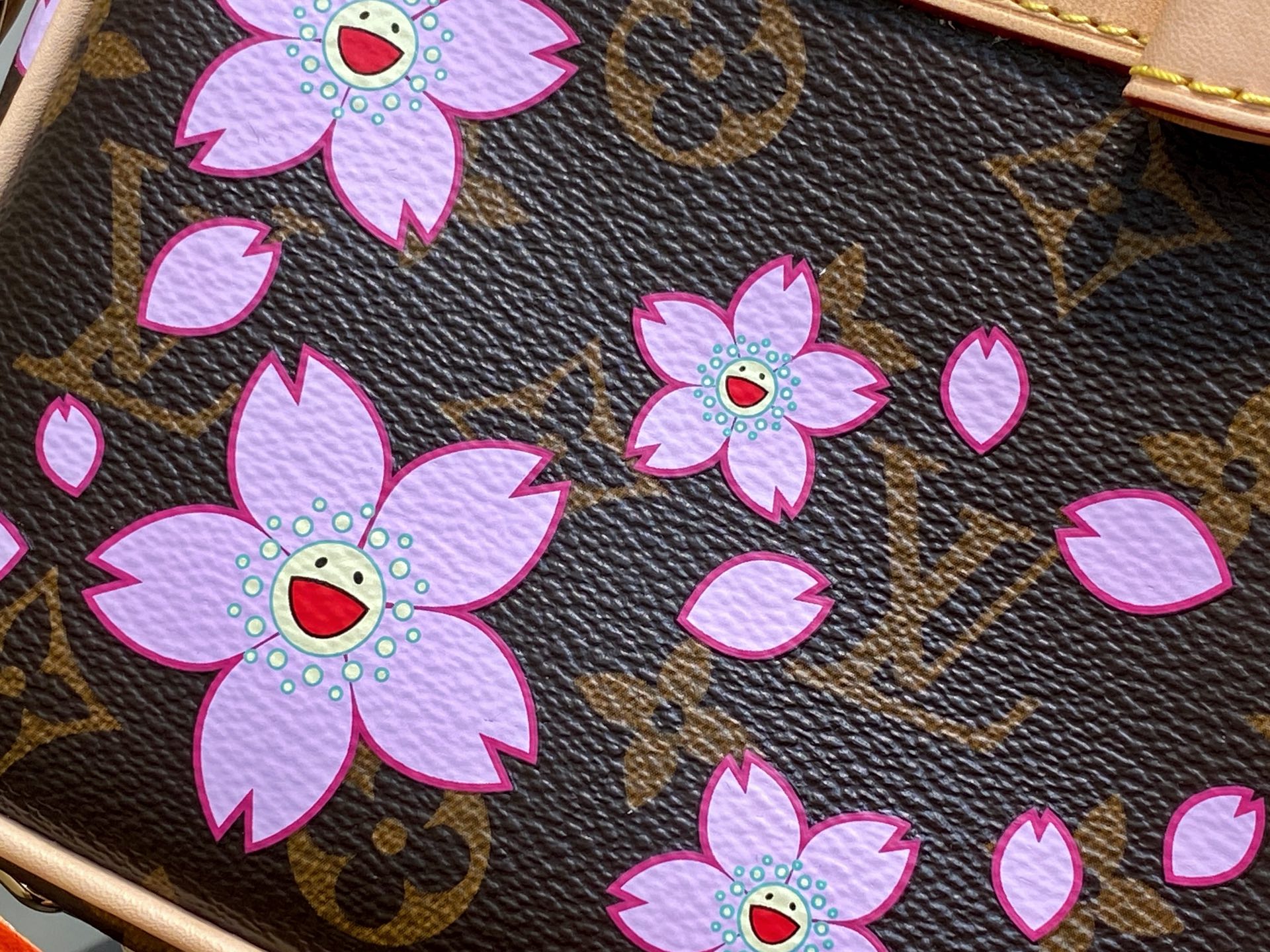 Louis Vuitton Pochette Accessoires Bag(22x13x4CM)