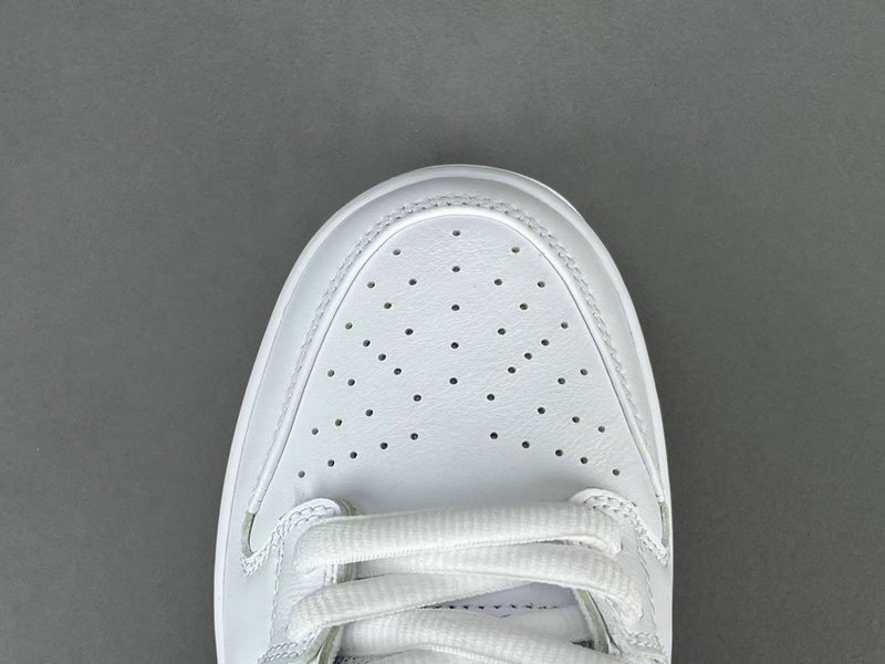 Nike SB Dunk Low CD2563-101