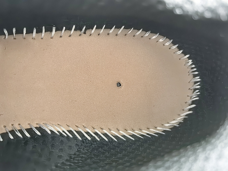 Balenciaga 3XL Sneakers