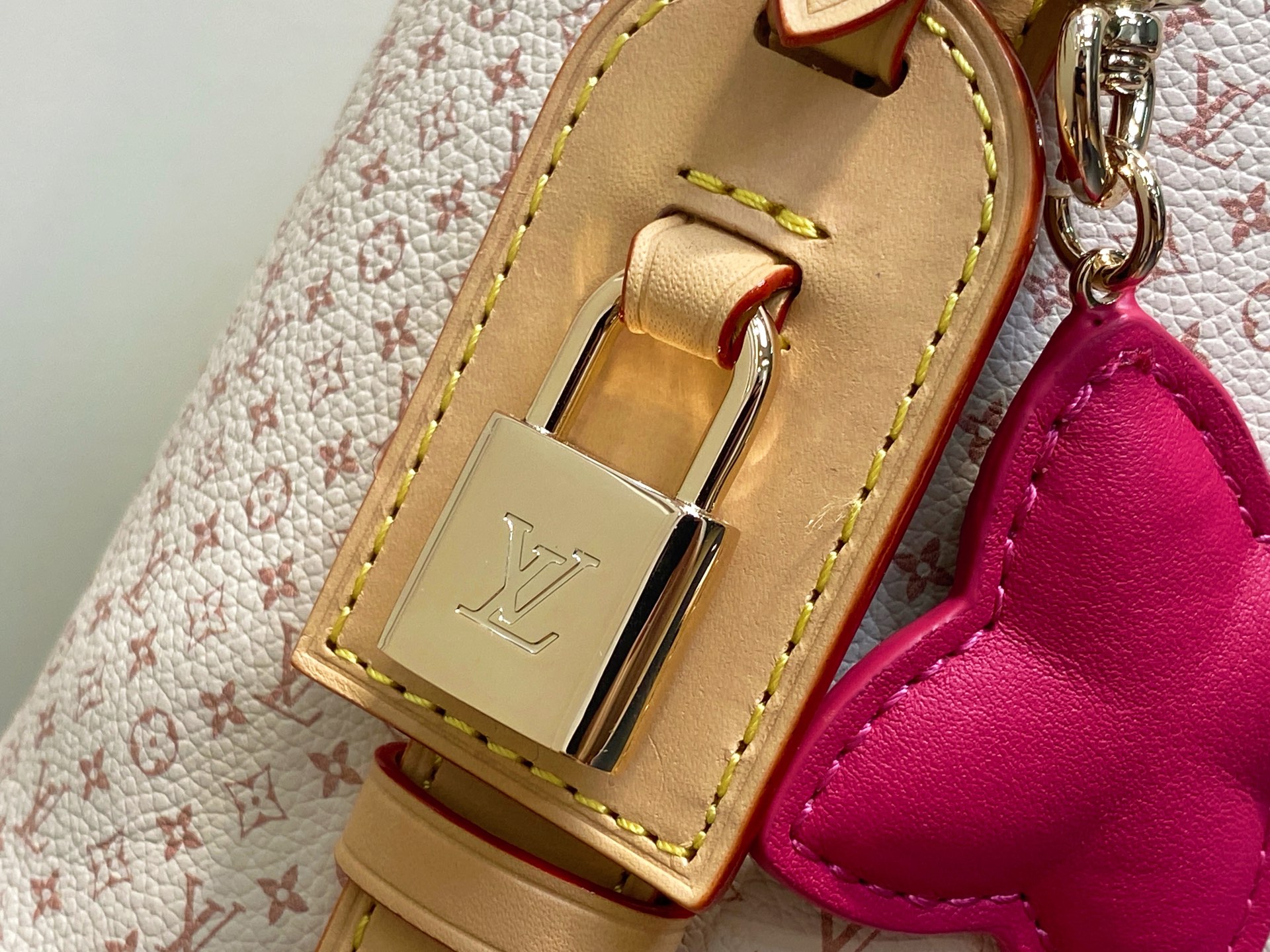 Louis Vuitton All In Bucket(18 x 12 x 16CM)