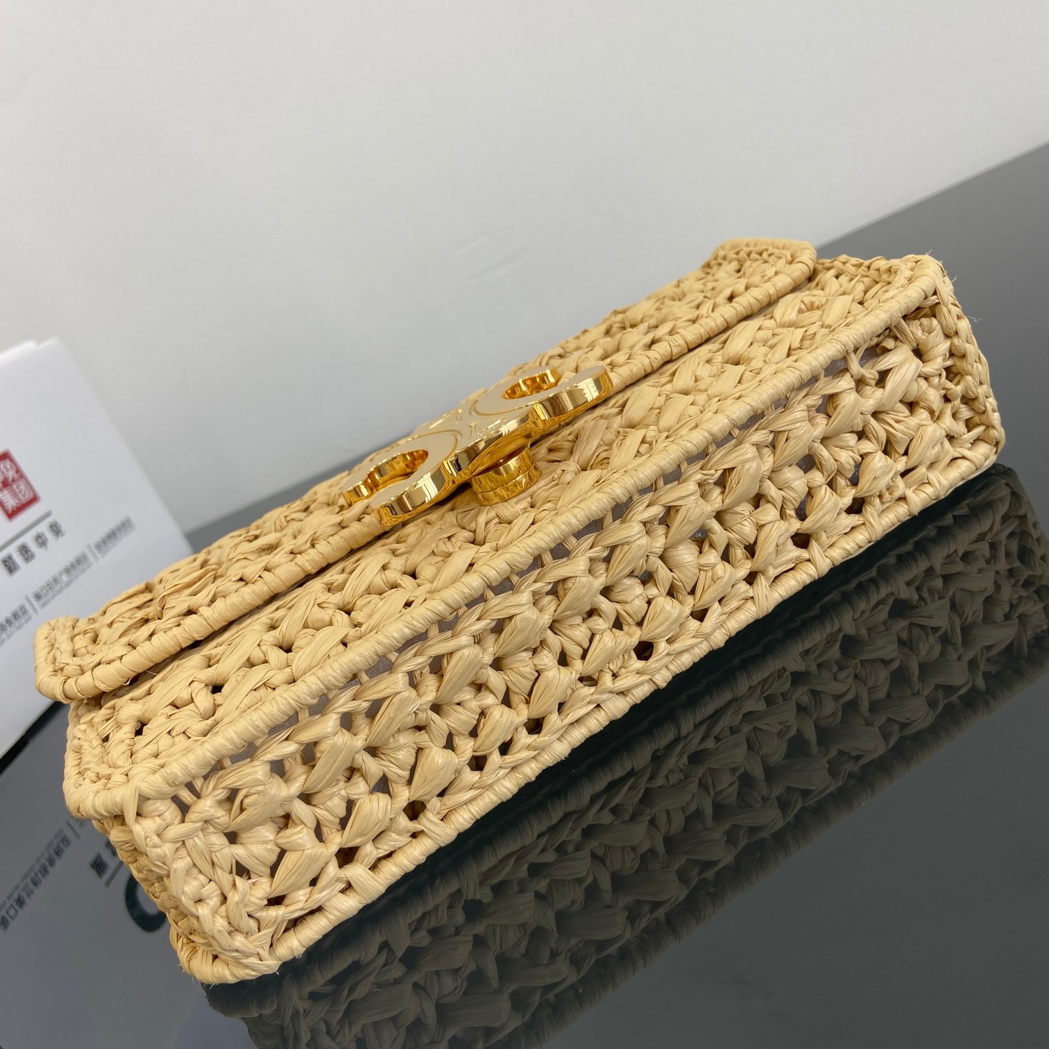 CelineTRIOMPHE Woven Chain Bag(20.5 X 10.5 X 4CM)