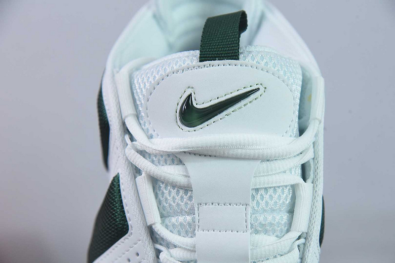 NK Air More Uptempo FZ3055-102