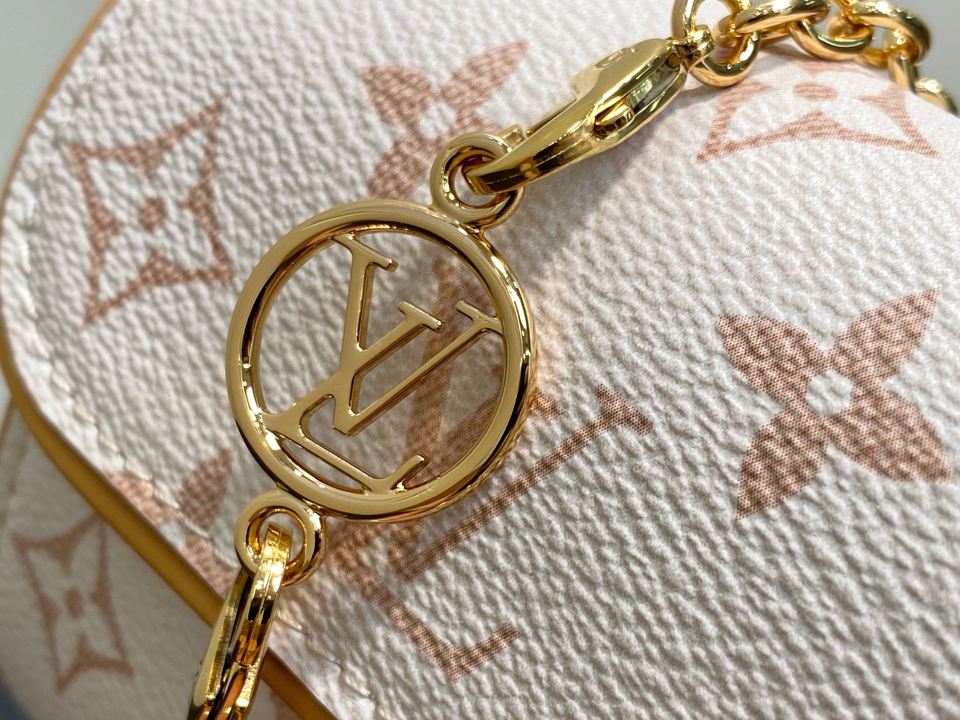 Louis Vuitton Pochette Camille Bag(11 x 6 x 20.5CM)