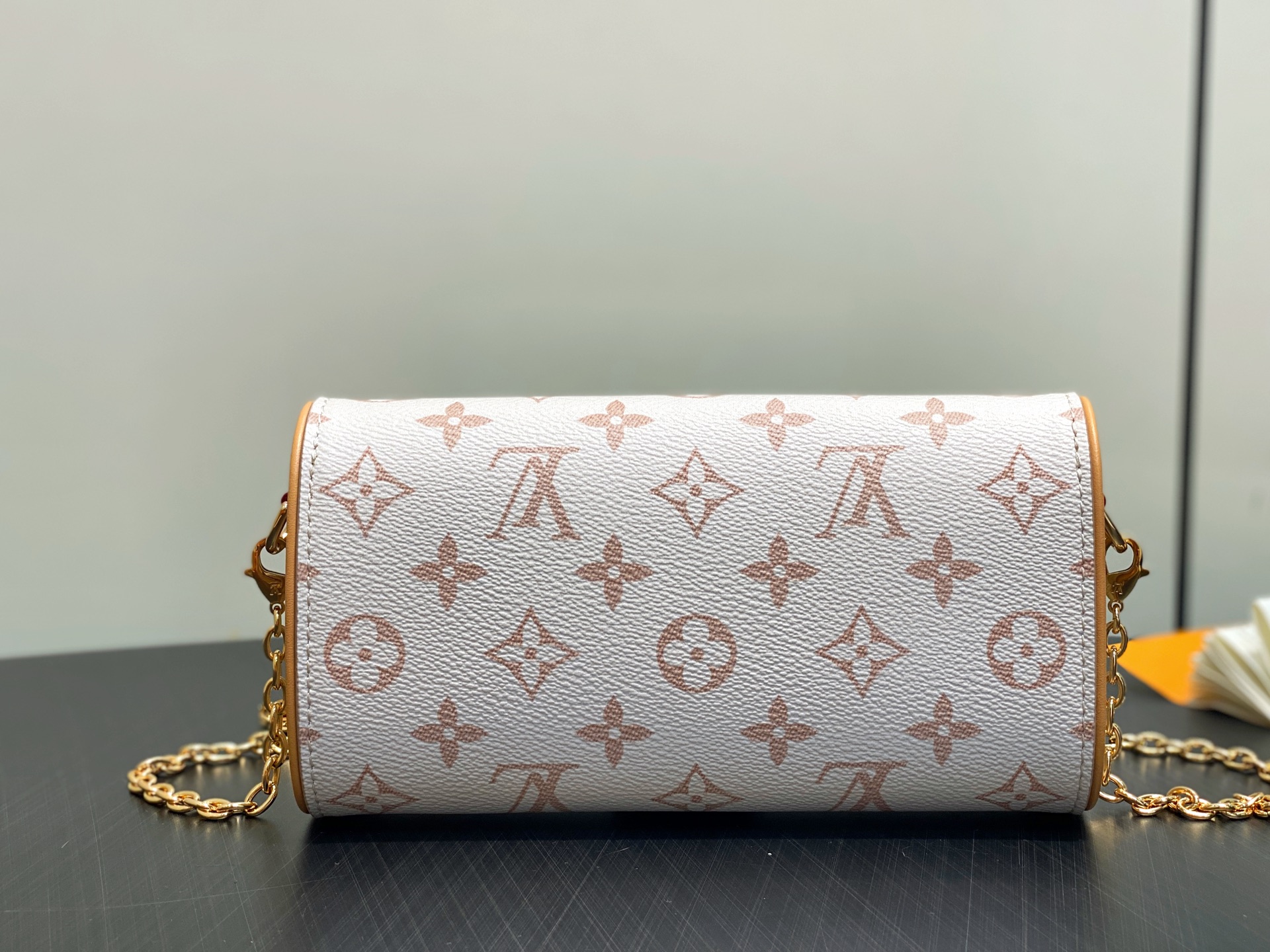 Louis Vuitton Pochette Camille Bag(11 x 6 x 20.5CM)