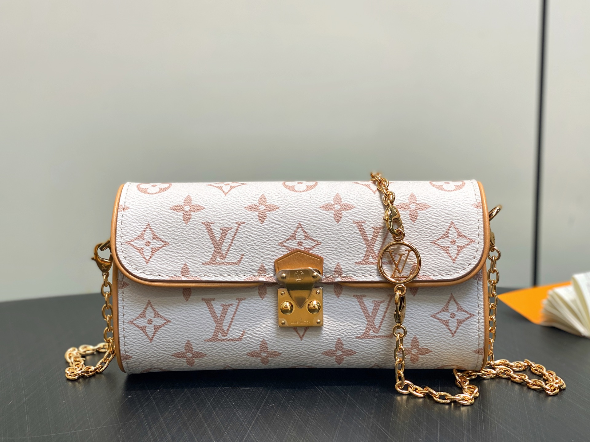 Louis Vuitton Pochette Camille Bag(11 x 6 x 20.5CM)
