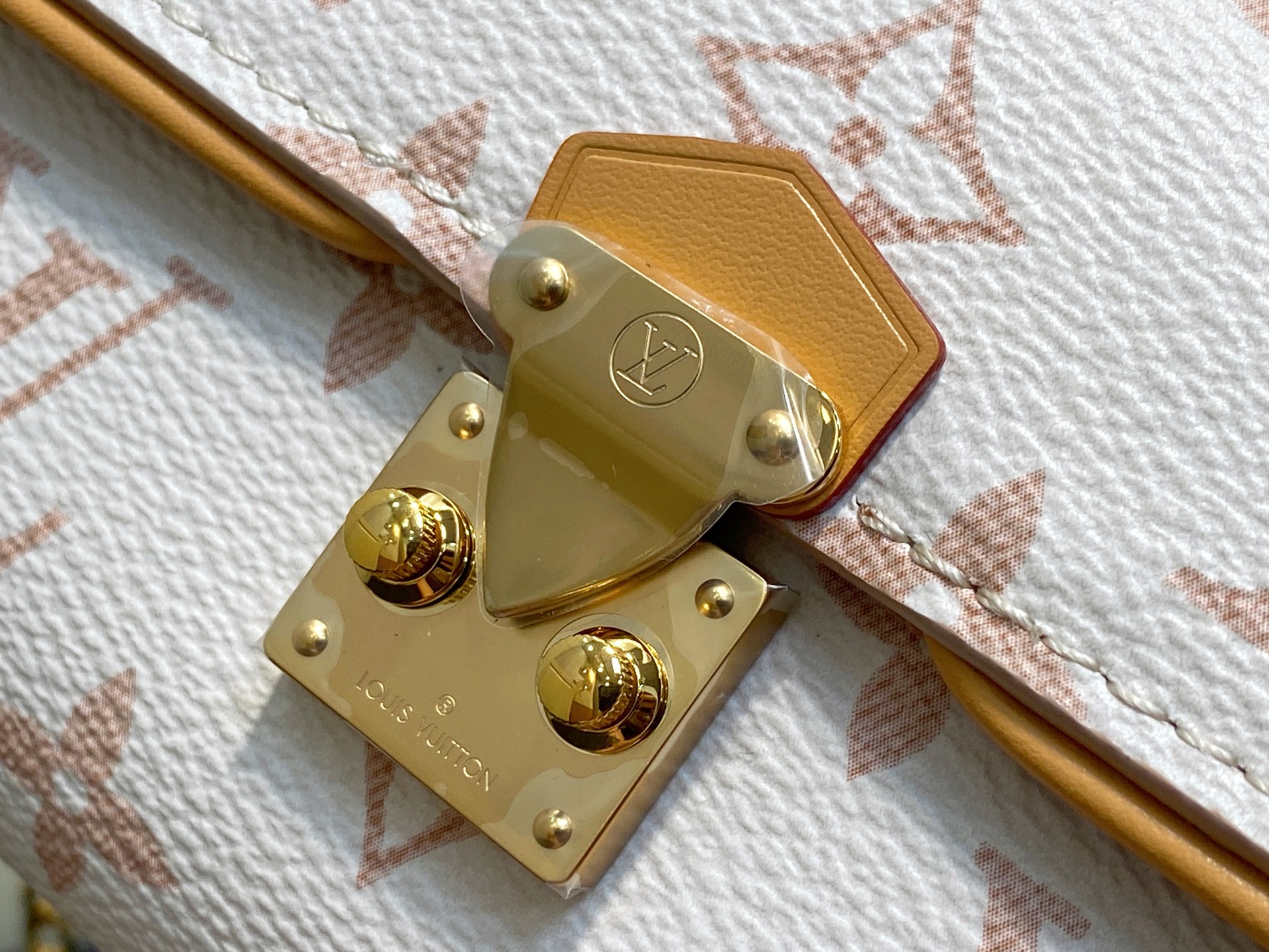 Louis Vuitton Pochette Camille Bag(11 x 6 x 20.5CM)