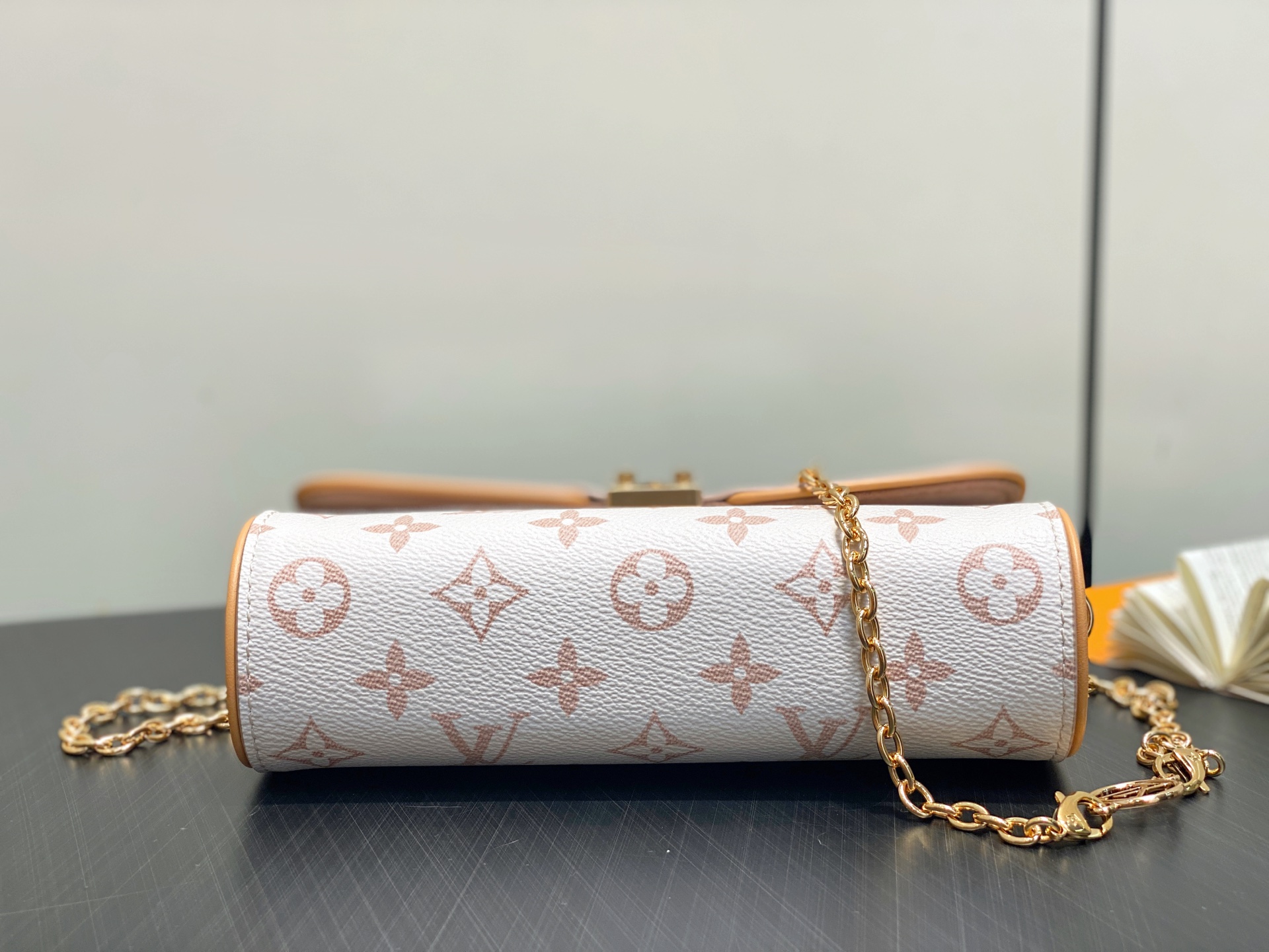 Louis Vuitton Pochette Camille Bag(11 x 6 x 20.5CM)