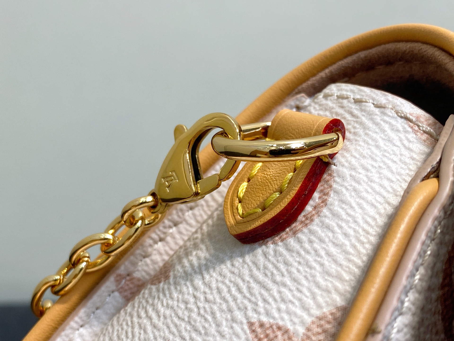 Louis Vuitton Pochette Camille Bag(11 x 6 x 20.5CM)