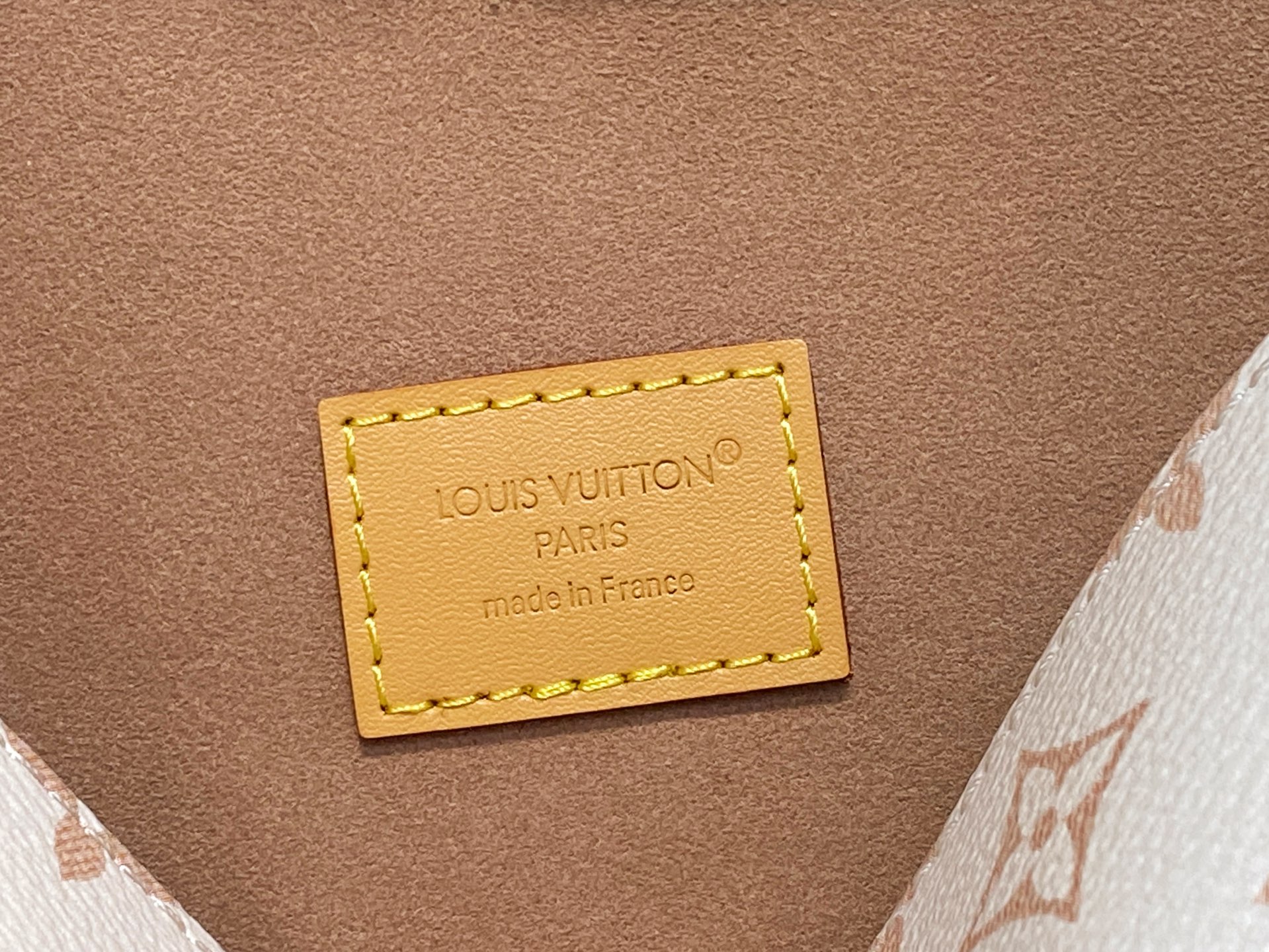 Louis Vuitton Pochette Camille Bag(11 x 6 x 20.5CM)