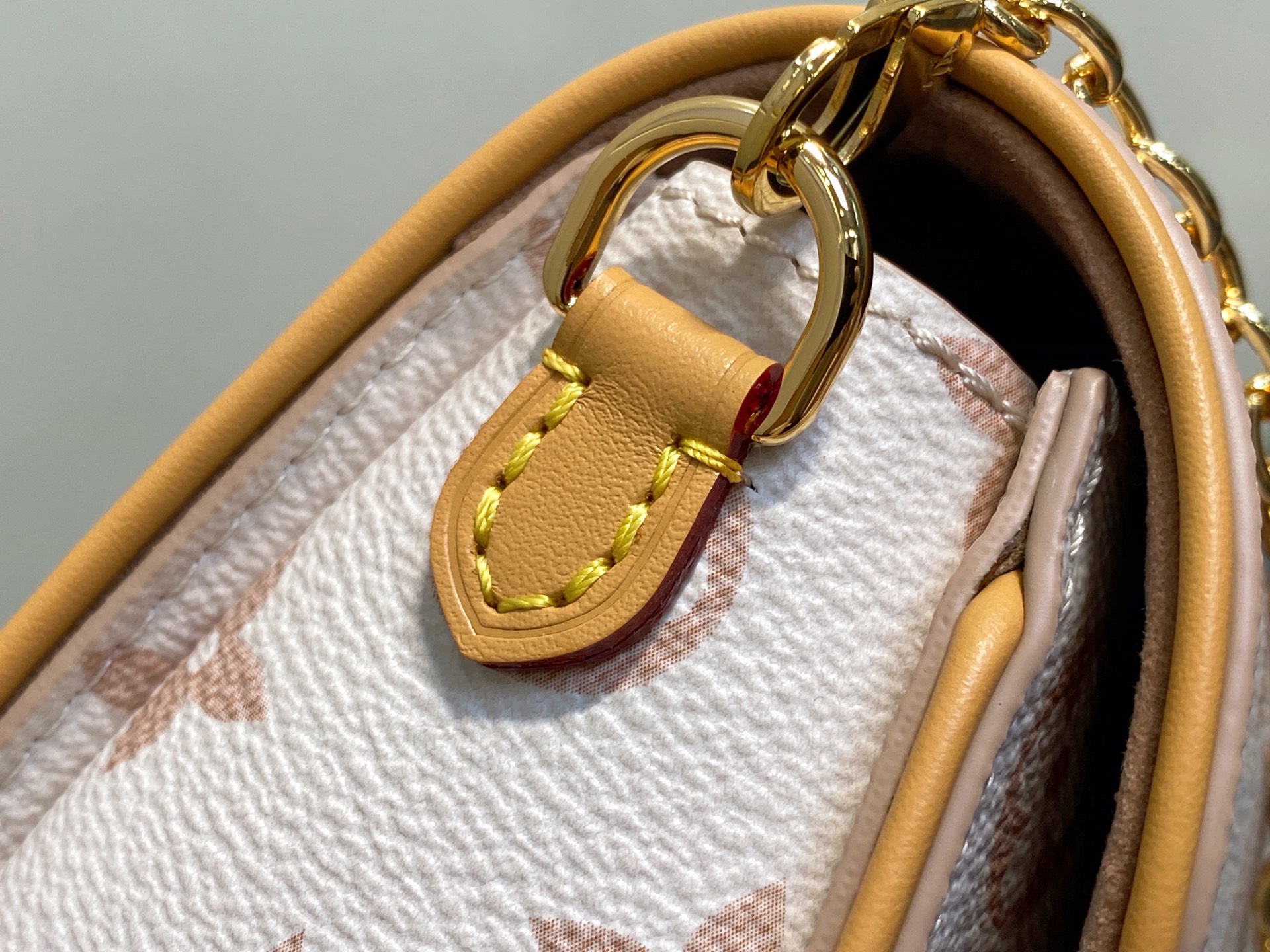 Louis Vuitton Pochette Camille Bag(11 x 6 x 20.5CM)