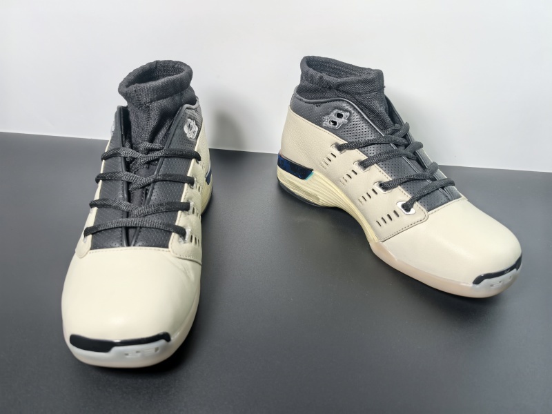 Infinite Archives x Air Jordan 17 Low IH0177-200