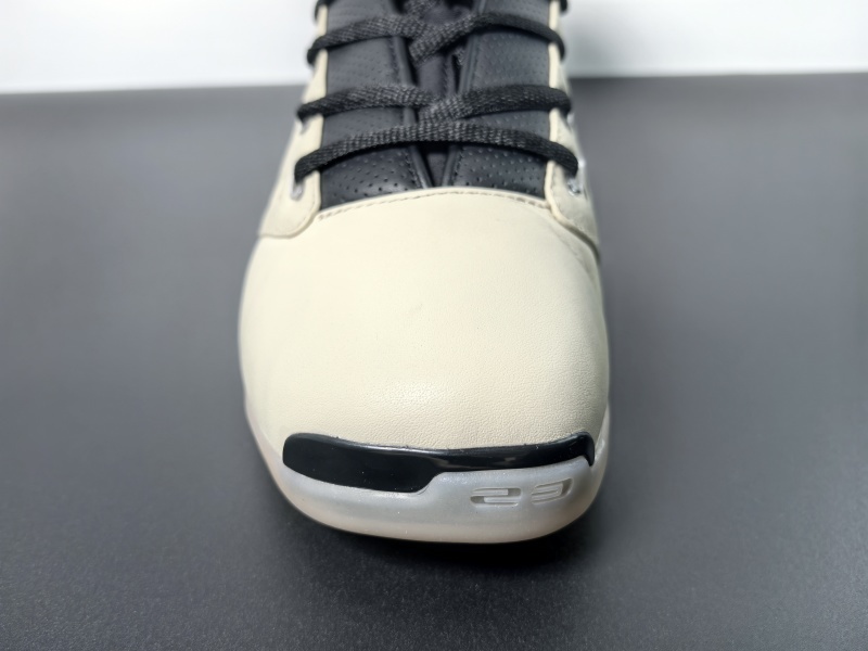 Infinite Archives x Air Jordan 17 Low IH0177-200