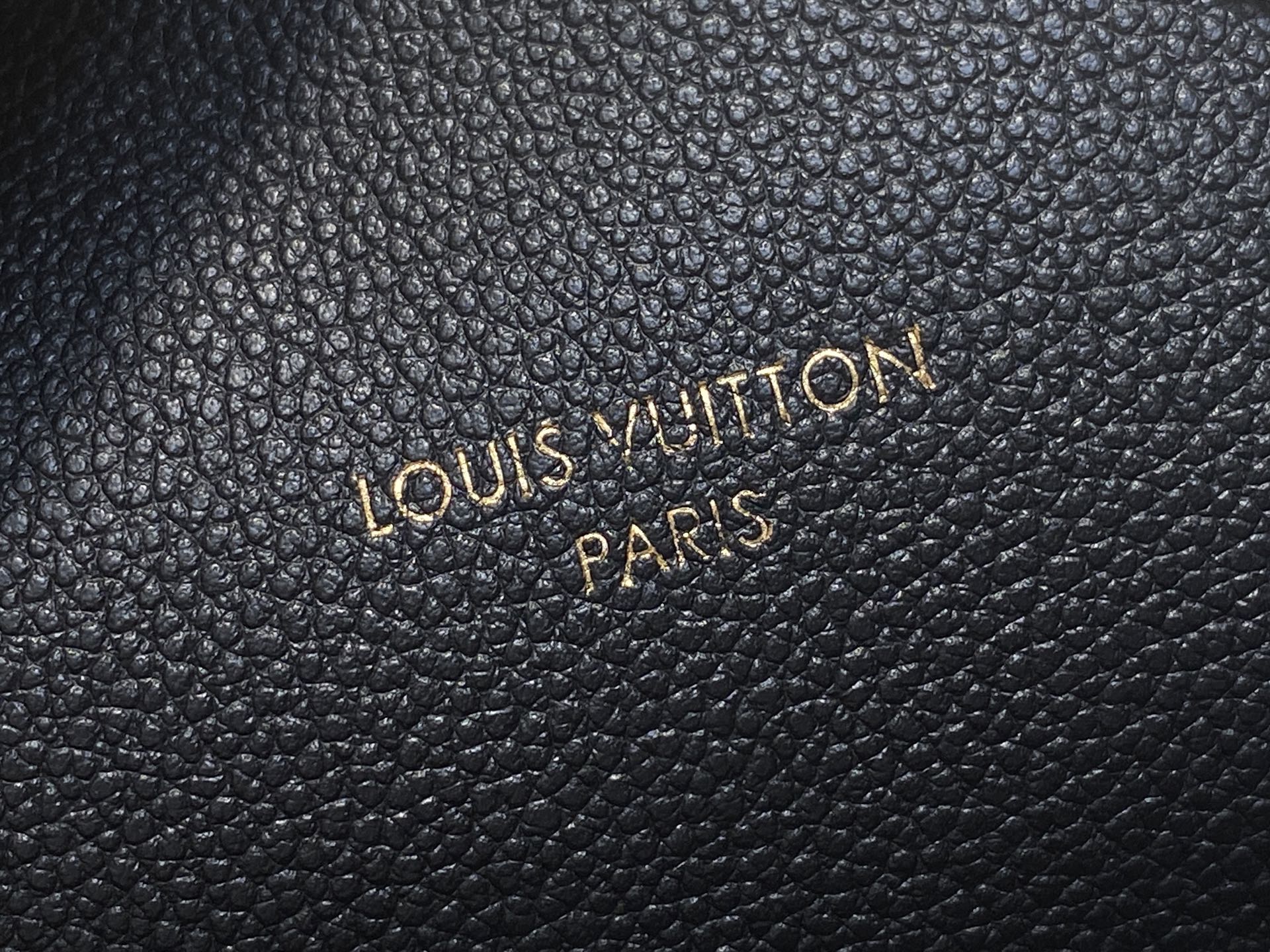 Lou*s Vuitton Express Bag (17 x 13.5 x 26CM)