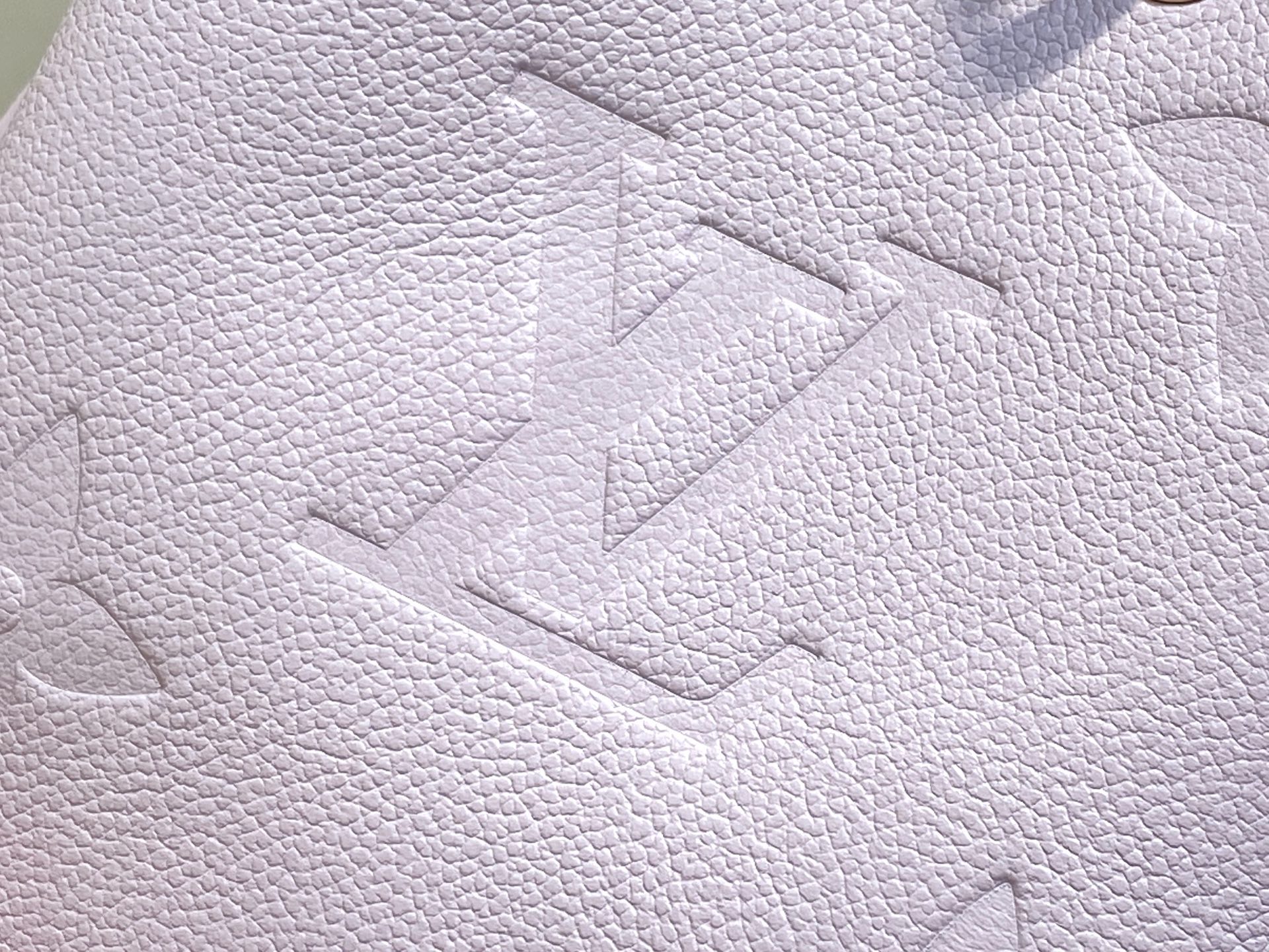 Lou*s Vuitton Dream Néonoé BB(20 x 20 x 13CM)