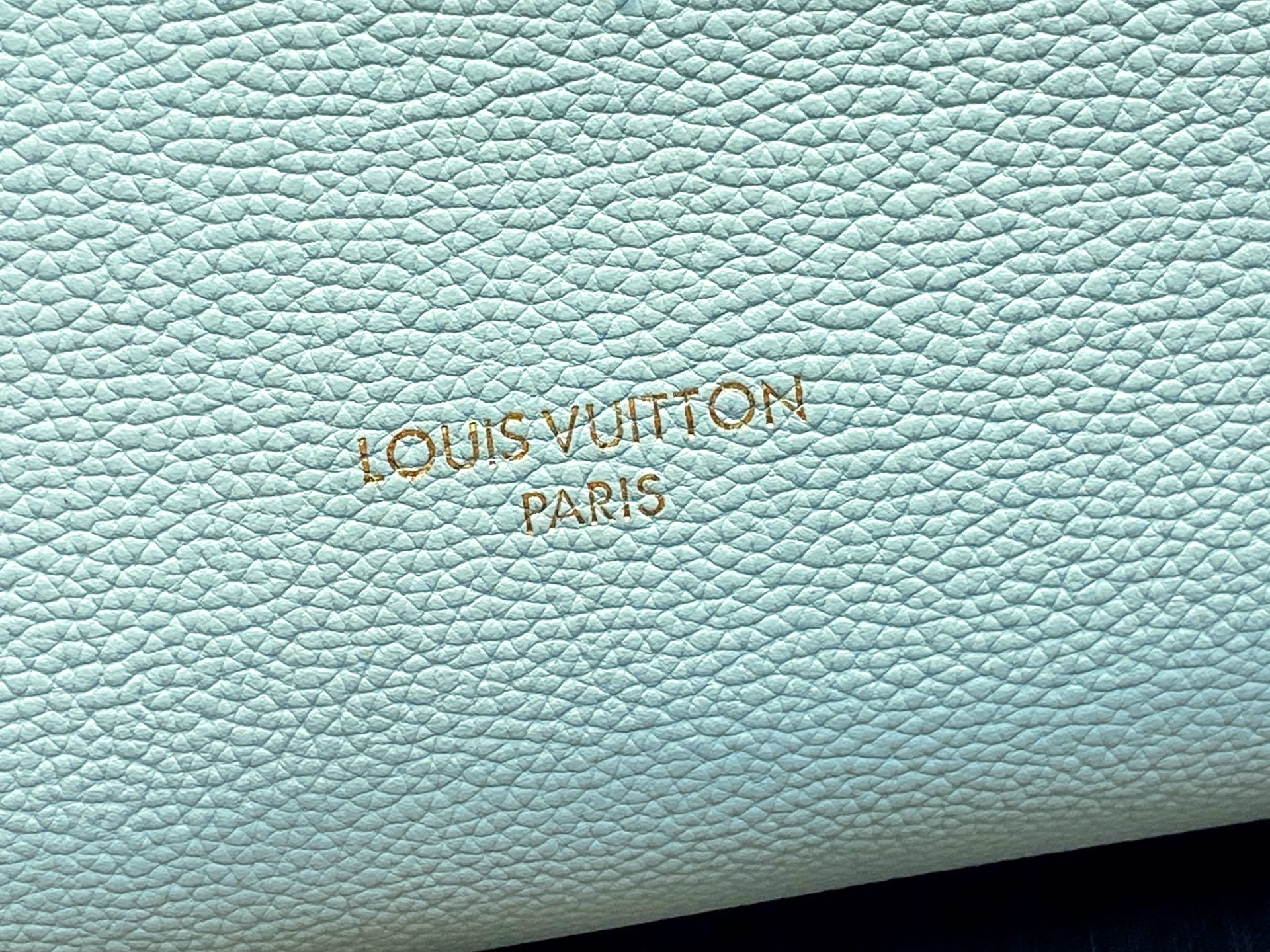 Lou*s Vuitton Express Bag ( 17 x 13.5 x 26 CM)