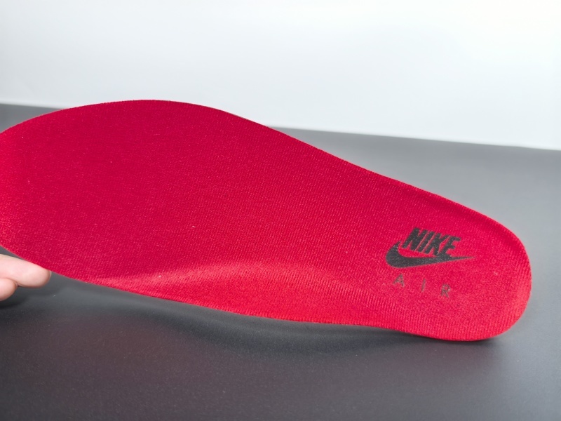 Air Jordan 10 Dark Shadow 310805-002