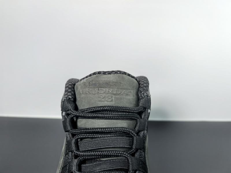 Air Jordan 10 Dark Shadow 310805-002