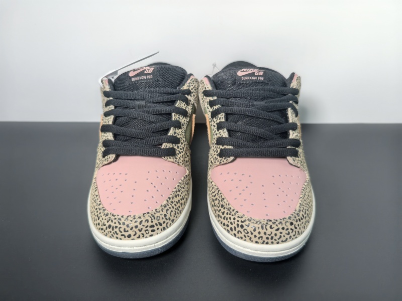 Arts-Rec x Nike SB Dunk Low IH3211-200