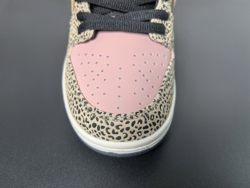 Arts-Rec x Nike SB Dunk Low IH3211-200