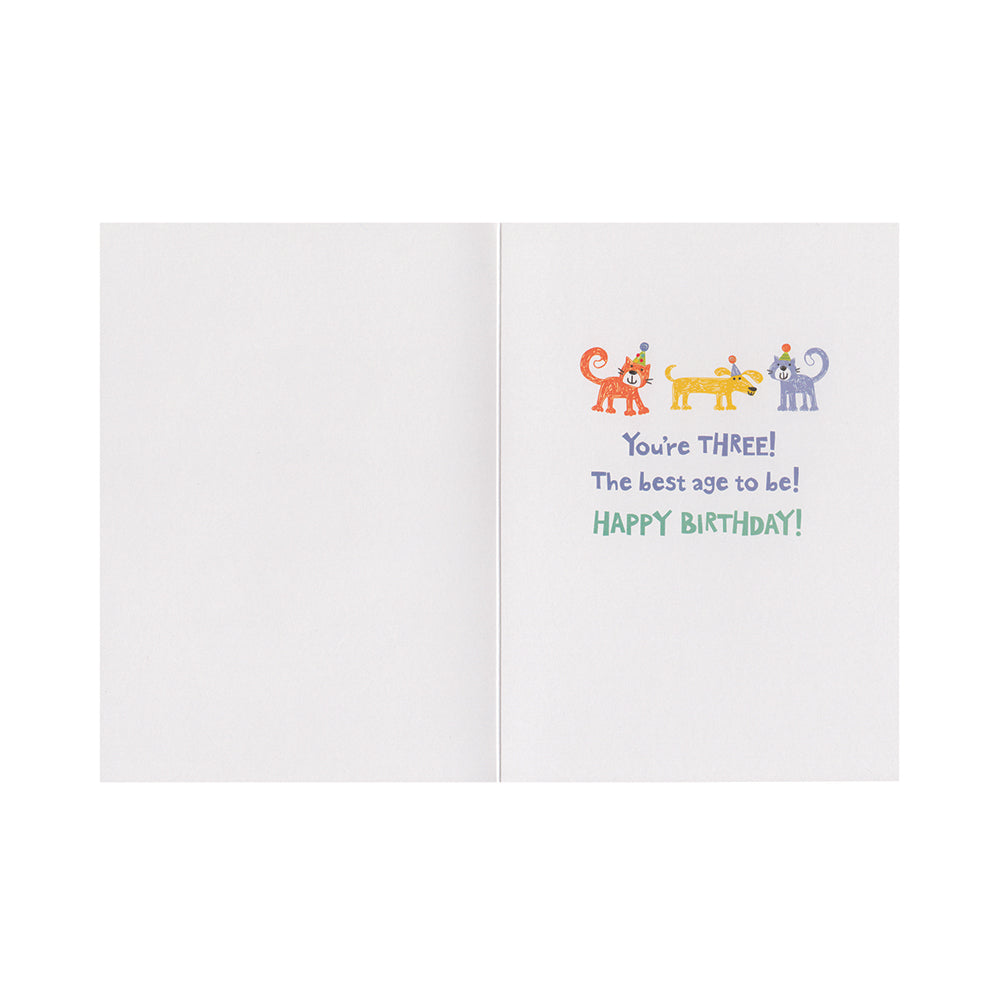 Age 3 Pattern Card
