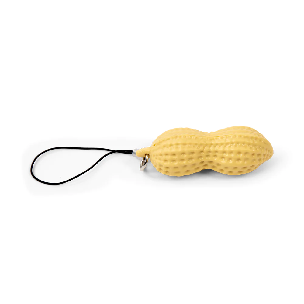 Fidget Peanut