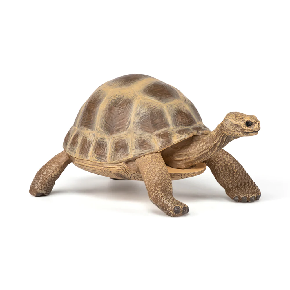 Papo Hermann Tortoise