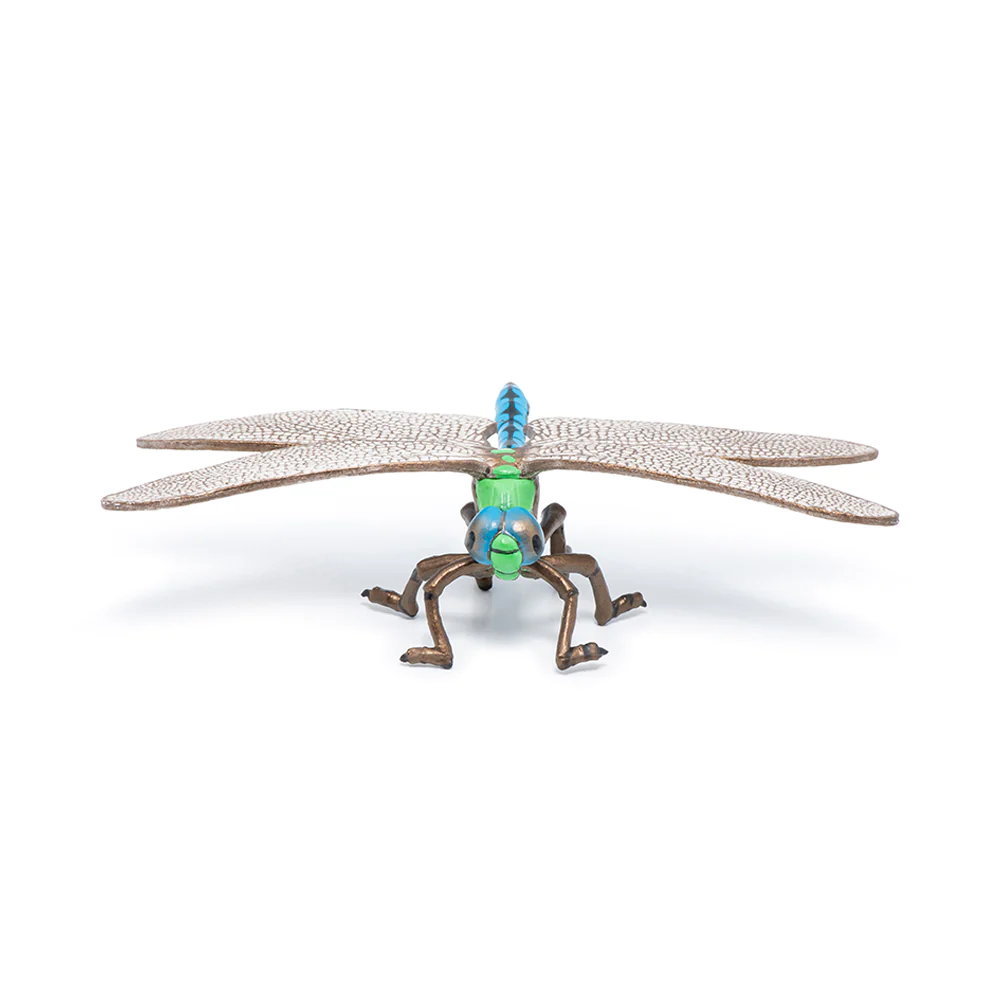 Papo Dragonfly