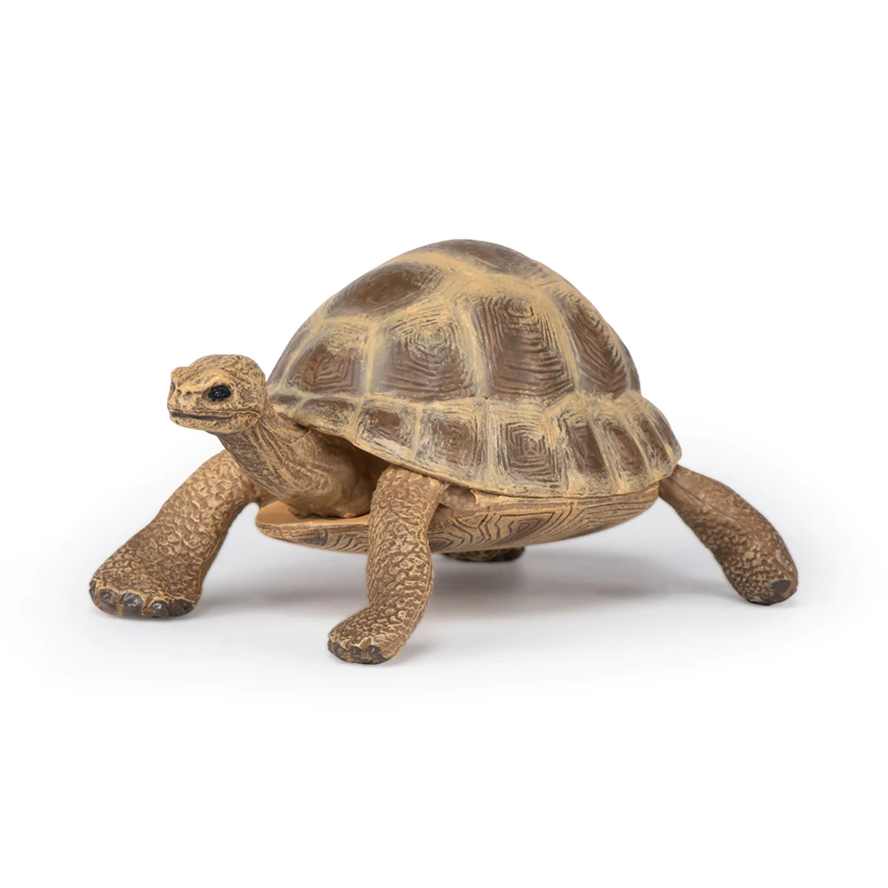 Papo Hermann Tortoise
