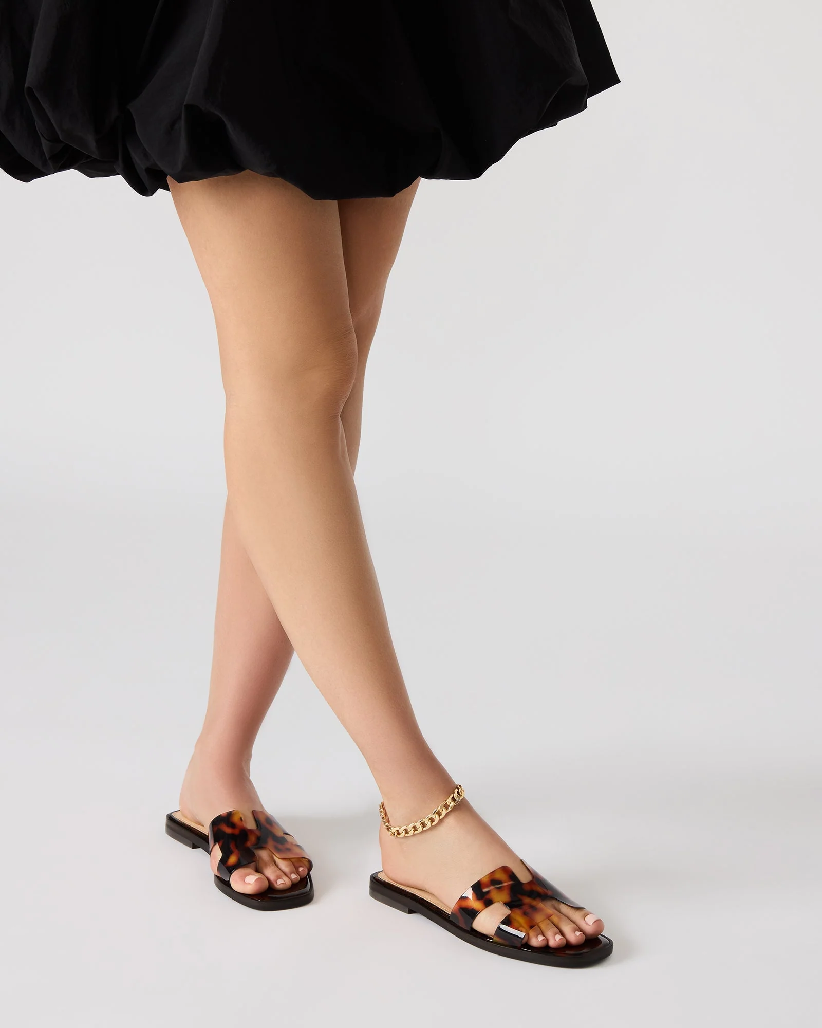 Hadyn Tortoise - Sm Rebooted