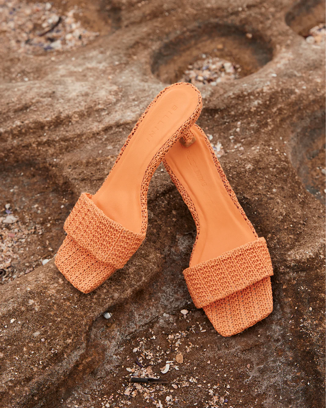 OLGA - NECTARINE RAFFIA