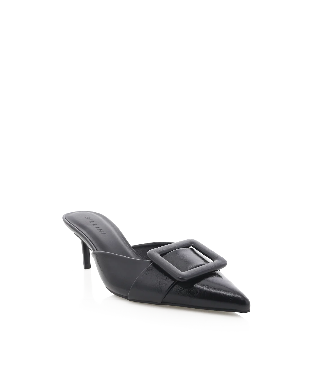 YORKIE - BLACK SHINE