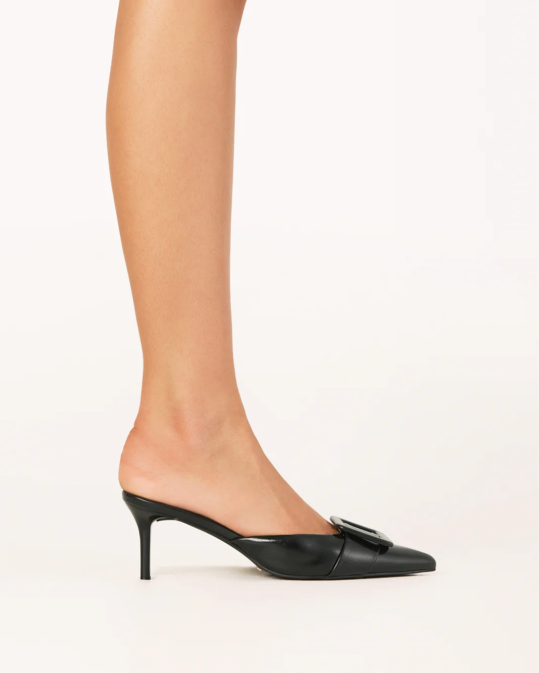 YORKIE - BLACK SHINE