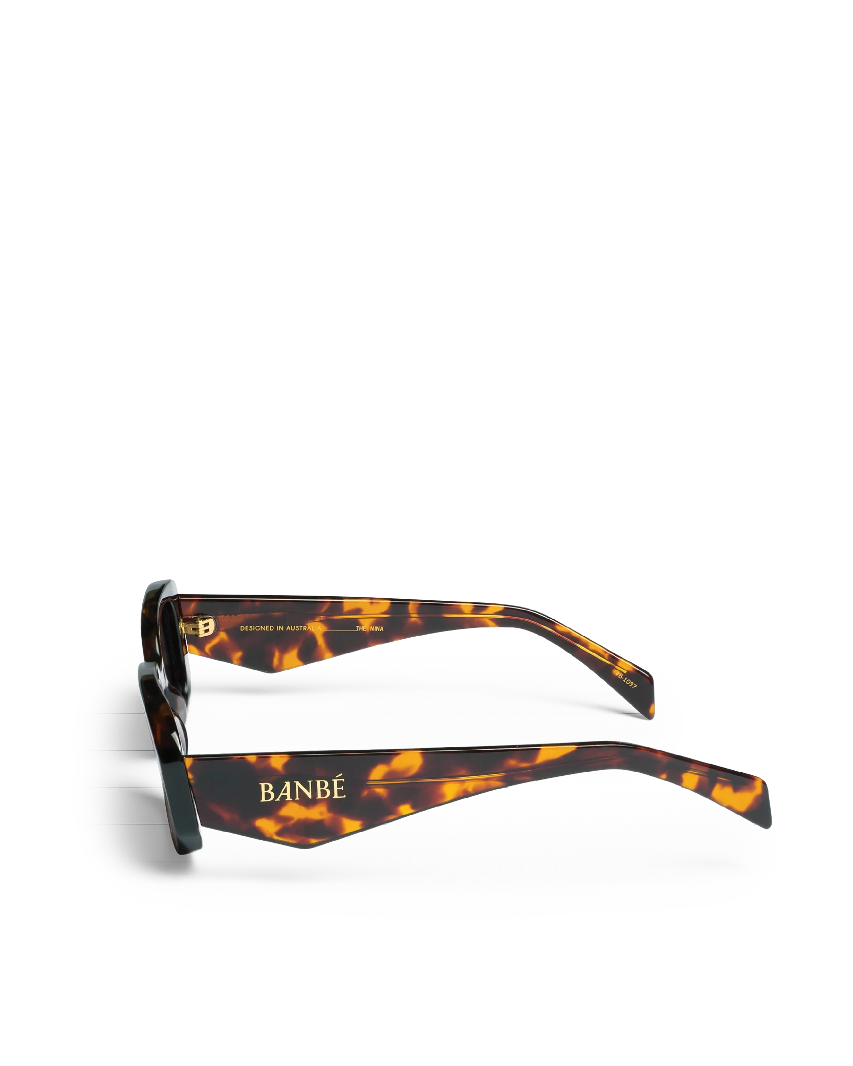 THE NINA - HAVANA-AUBURN