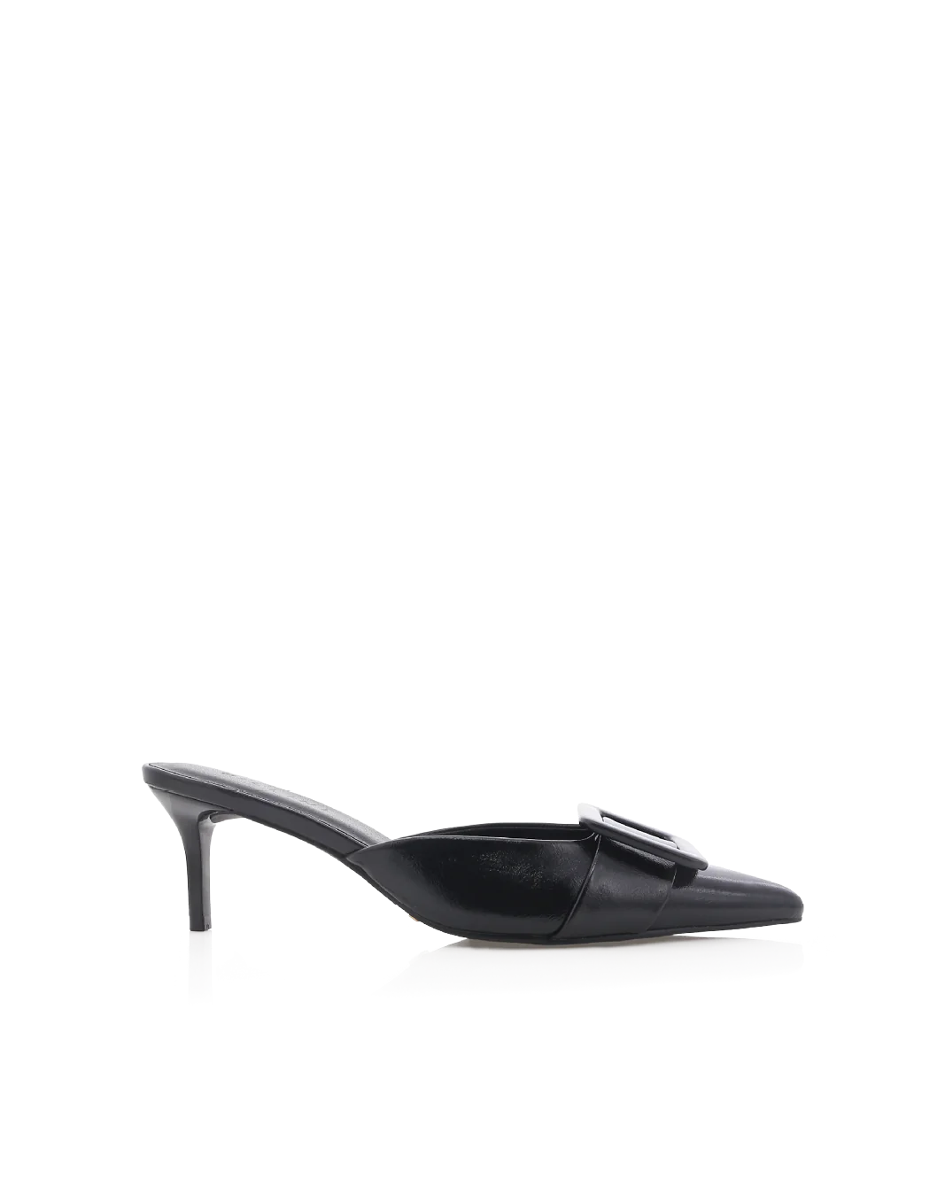 YORKIE - BLACK SHINE