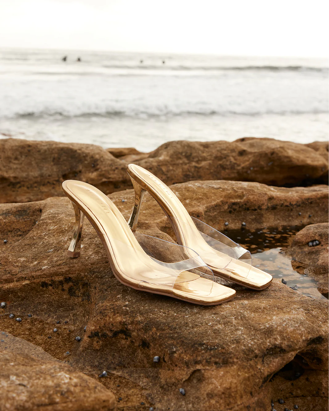 JAYCEE - GOLD CHROME-CLEAR