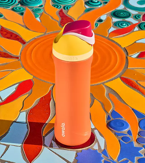 Owala 24 oz. FreeSip Stainless Steel Water Bottle