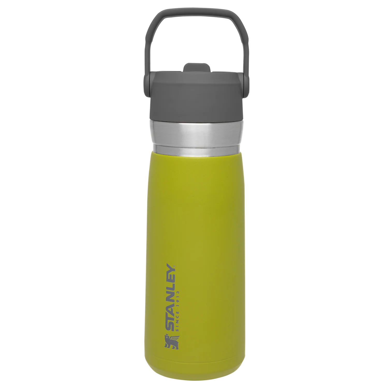 The Go Flip Straw Water Bottle | 22 OZ