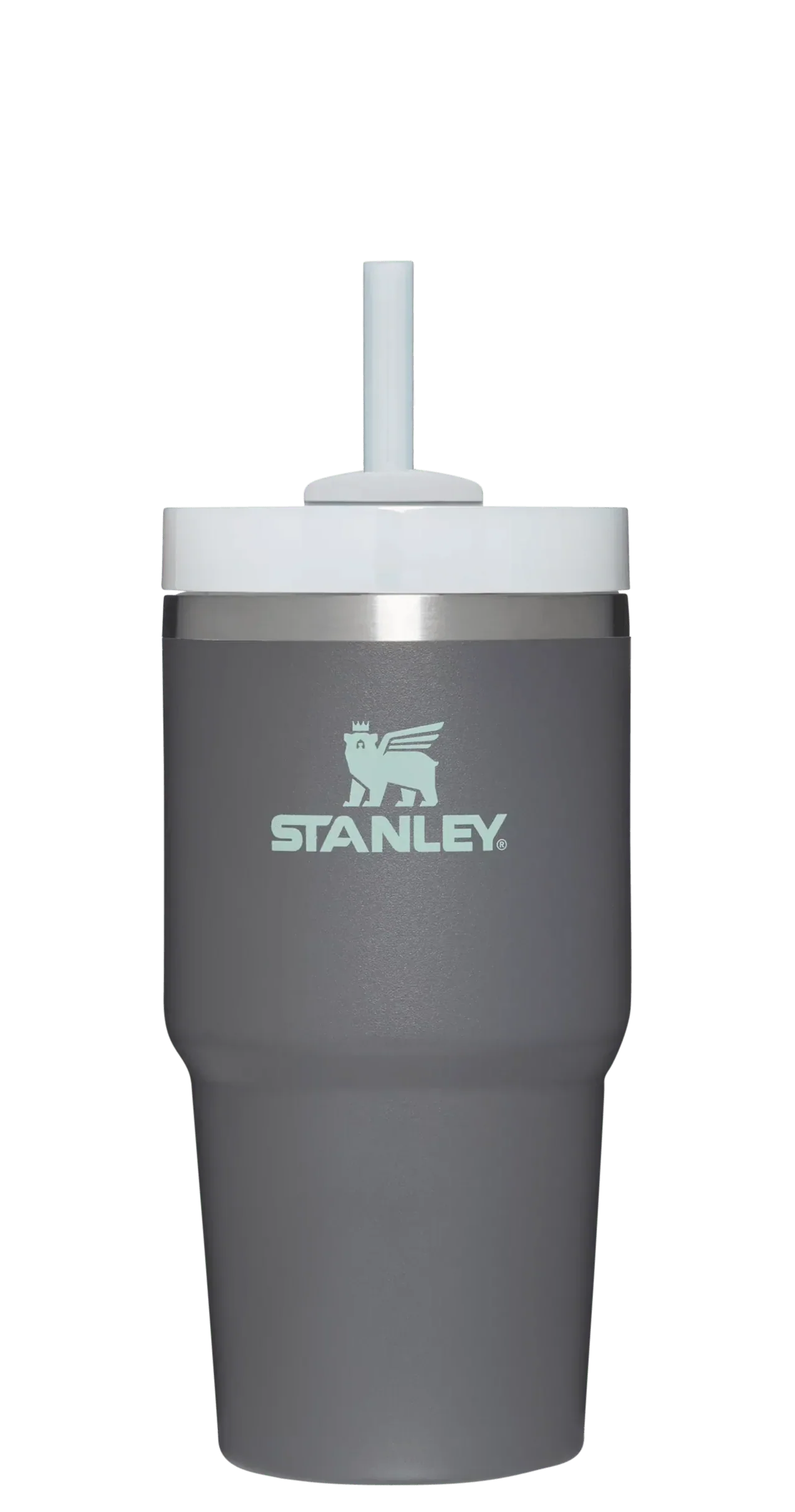 The Quencher H2.0 FlowState™ Tumbler | 20 OZ - Stanley Create