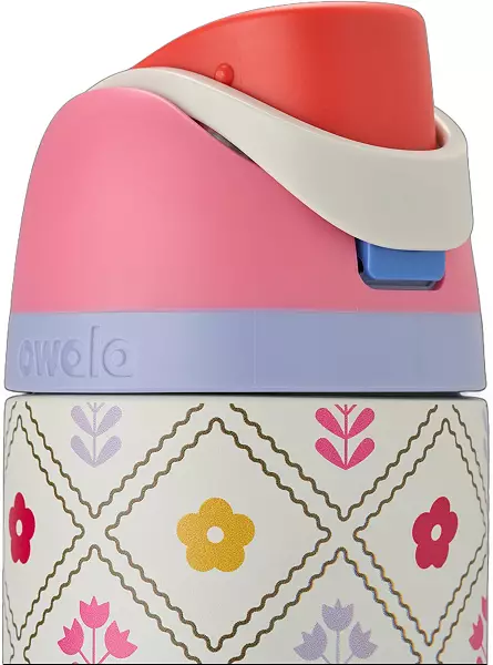 Owala 24 oz. FreeSip Stainless Steel Water Bottle – Garden Whimsy