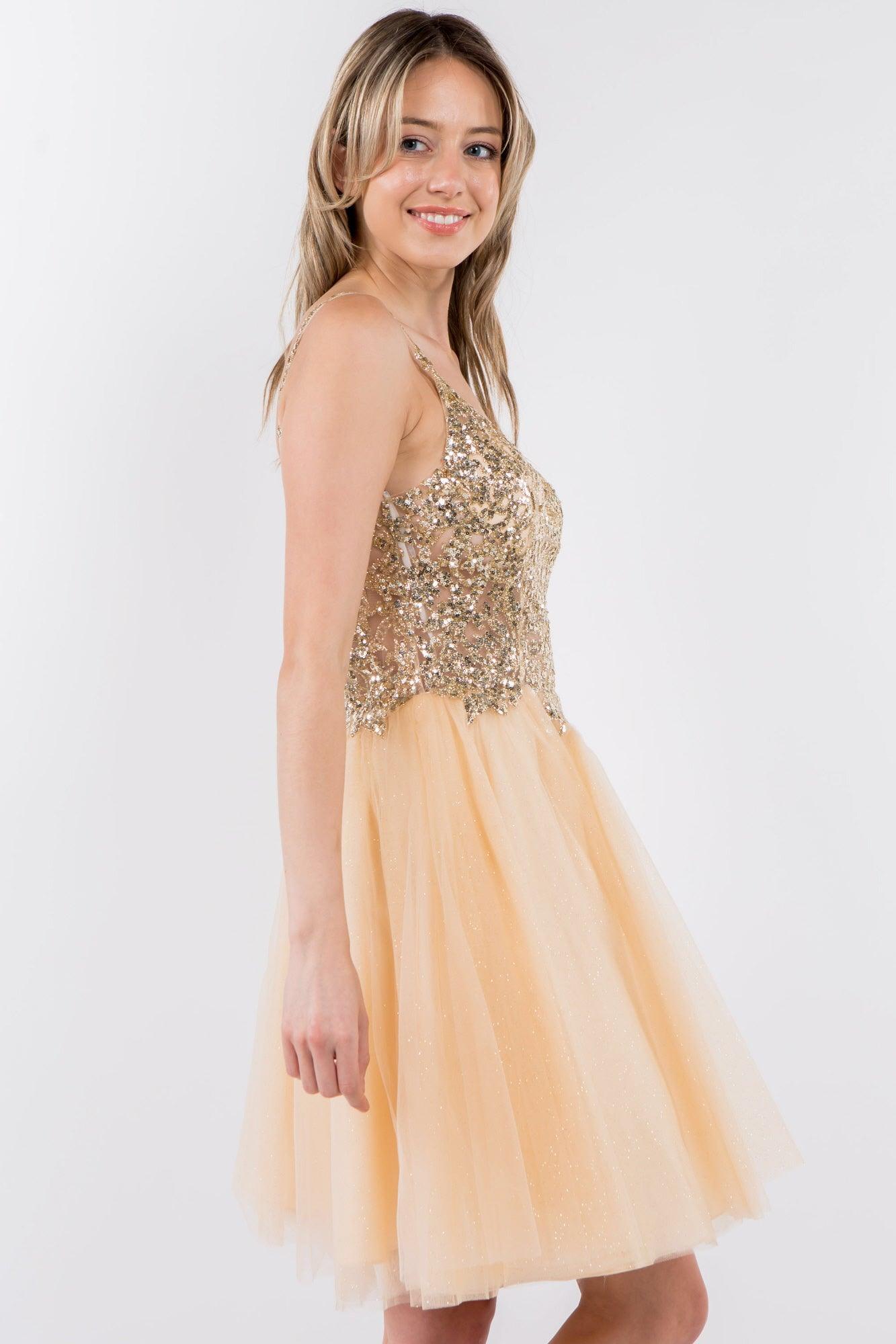 Sheer Bodice Short Homecoming Dress